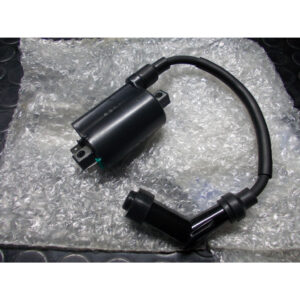 Bobina Accensione Access Motor - Triton