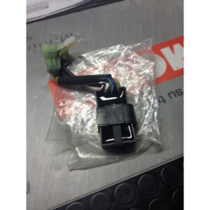 Centralina comando marce Access Motor