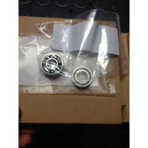 Cuscinetti Pompa Acqua Access Motor-Triton