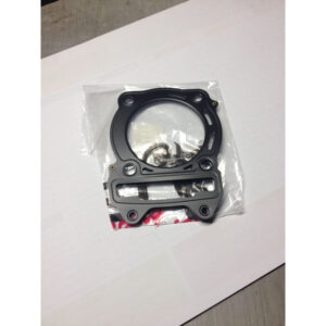 Guarnizione Testata Access Motor 250