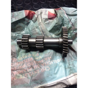 Ingranaggio Doppio Access Motor