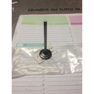 Valvola di Scarico Access Motor 300