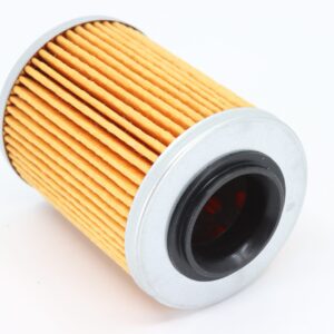 Filtro olio motore Quad CF Moto