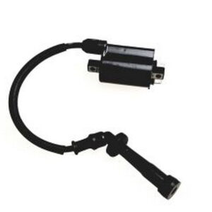 Bobina di Accensione Access Motor / Triton 450cc