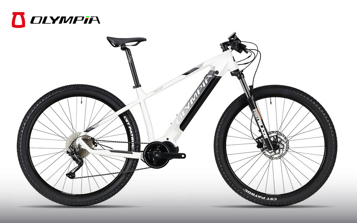 E-Bike Olympia Master 630 10S